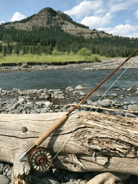 Beautiful scenery while fly fishing Yellowstone's Soda Butte Creek