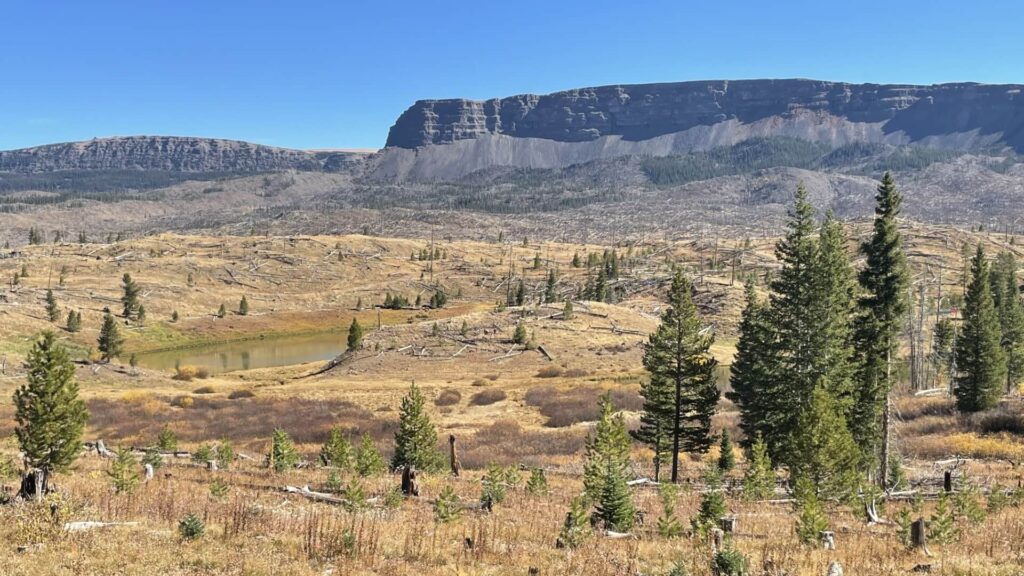 The view from Shepherds Rim Site #5 overlooking Crescent Lake