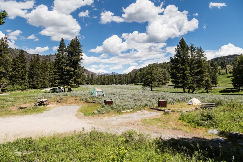 Campsites in Yellowstone's Slough Creek Campground