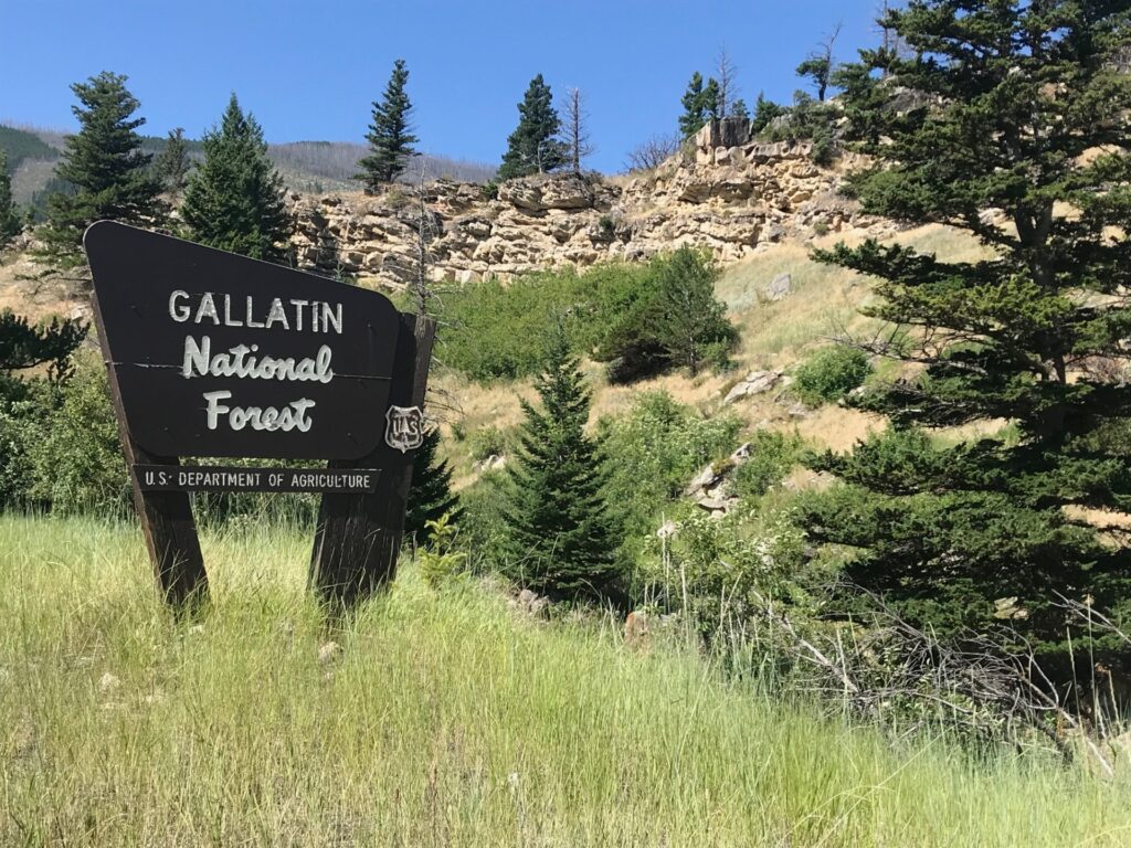 Gallatin National Forest sign