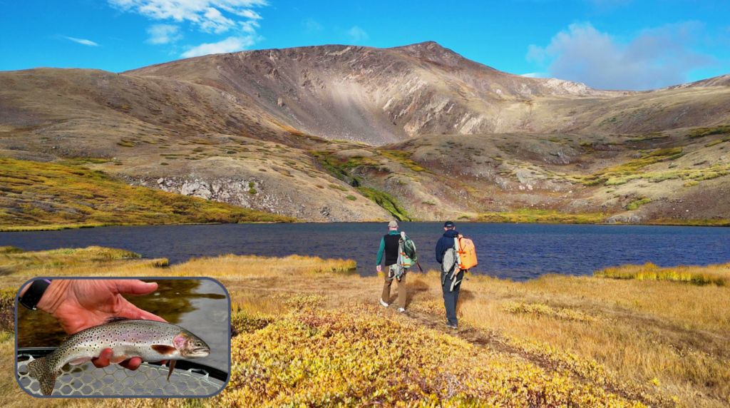 Secret Greenback Cutthroat lake