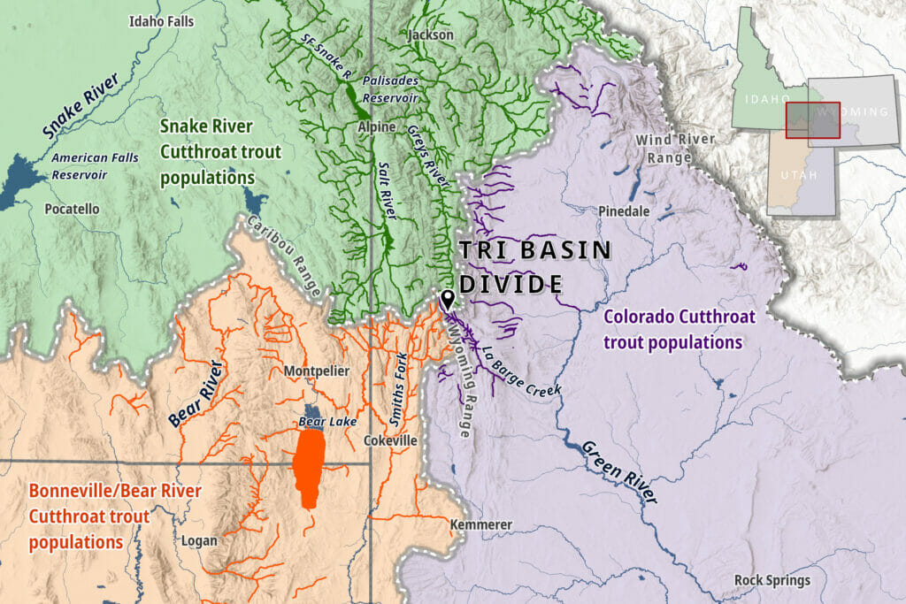 GIS map of the Tri Basin Divide in Wyoming showing the distribution of 3 different cutthroat subspecies